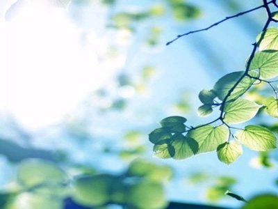 八重神子炒出白水怎么办？,炒菜神器翻车？白水现象揭秘-1